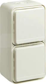 W.1 IP55 biały Gniazdo z uz. 2-krotne z pokrywą IP55