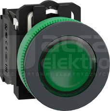 XB5FW33M5 fi30 230V 1NO+1NC zielony Przycisk płaski podświetlany LED
